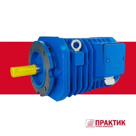 Электродвигатель рольганговый APM 43-8